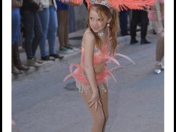 Carnaval de Mula 2014